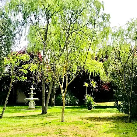 Finca La Vega Casa rural