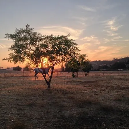 Finca La Vega Cazalla de la Sierra